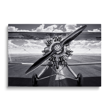 BW AIRPLANE